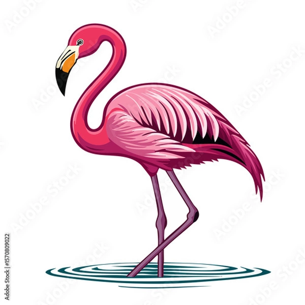 Obraz Elegant flamingo illustration standing in water pink feathers tropical bird design vector art exotic nature wildlife illustration