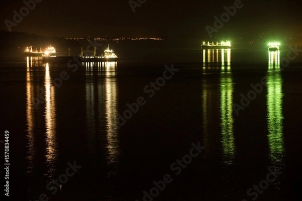 Fototapeta Illuminated boats in sea night