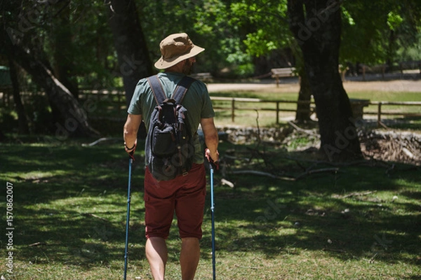 Fototapeta Man Hiking in a Scenic Forested Park During Summer with Backpack