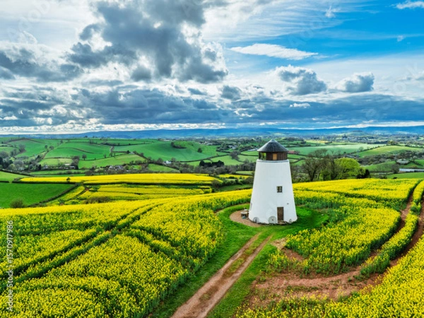 Fototapeta Rapeseed fields and Farms over Devon Windmill from a drone, Torquay, Devon, England