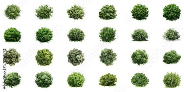Fototapeta Top View Green Foliage Illustration Set. Landscape Architecture And Environmental Design Collection. Natural Elements For Planning. Isolated Vector Illustration