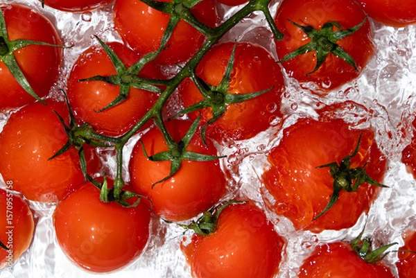 Fototapeta Fresh Tomatoes Splashing in Water Overhead View