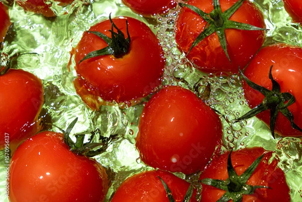 Fototapeta Vegetable background of fresh whole tomatoes in water, splash of water, top view.
