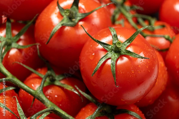 Fototapeta Cocktail Tomatoes on the Vine After Rinsing