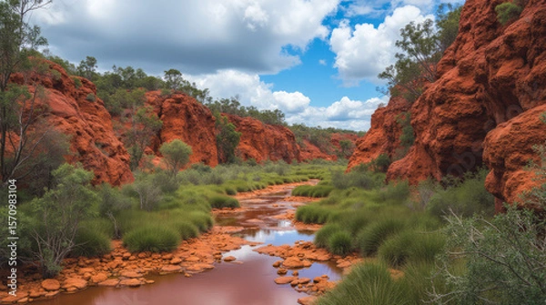 Fototapeta Litchfield National Park Australia Towering Termite Mounds and Red Rock Pools