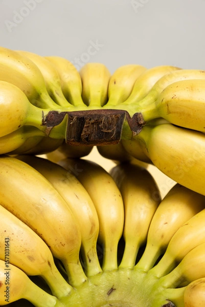 Fototapeta Close-Up View of a Bunch of Fresh Bananas.
