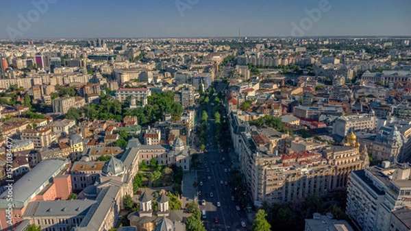 Fototapeta Urban Bucharest with tree-lined avenue and sunset lighting