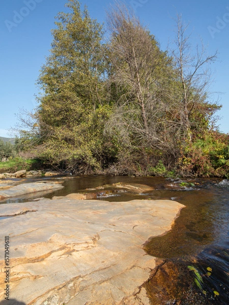 Fototapeta River stream waterfall in forest landscape, beautiful nature water stream with rocks in the forest little mountain waterfall water flowing and stone clear water in mountain river with tree