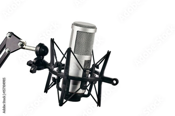 Fototapeta Professional studio microphone attached to shock mount, isolated on white background