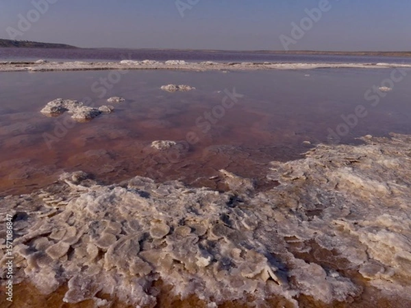Obraz Crystallization of salt on drying natural reservoirs of the South of Ukraine in summer and autumn
