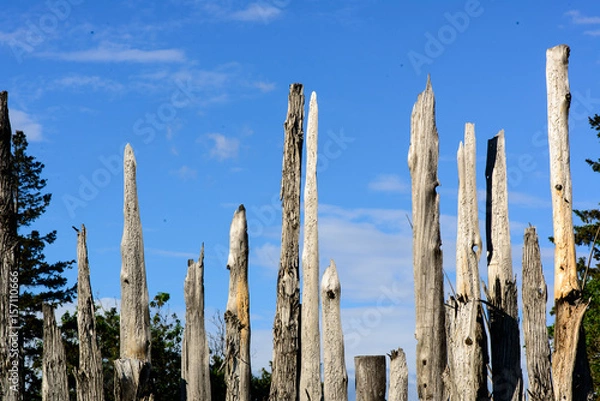 Fototapeta Weathered vertical log fence