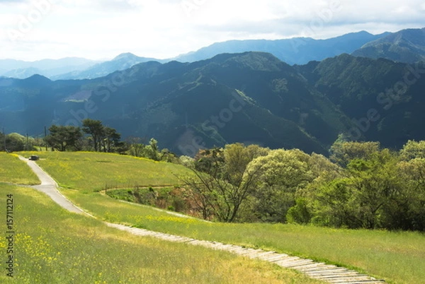 Fototapeta 翠波高原