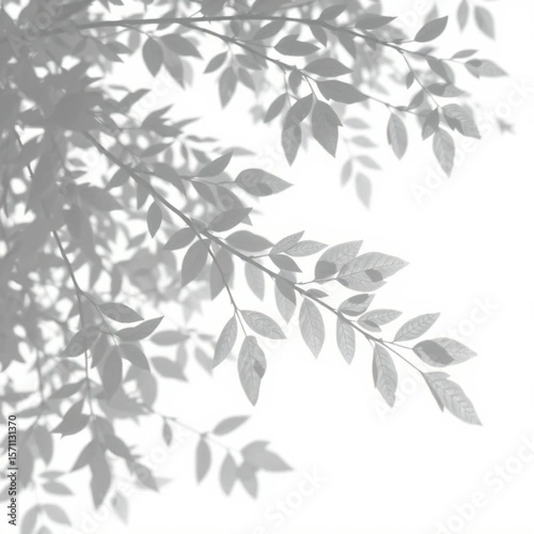 Fototapeta shadow overlay effect. Gray shadow of leaves isolated on white background. Plant foliage leaf shadow light effect. Mockup Blurred tree branch shadow. Ideal for summer spring design elements PNG