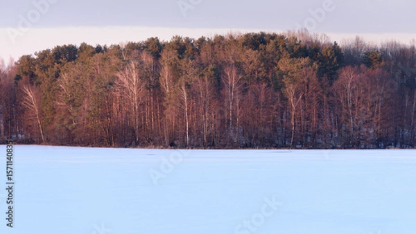 Fototapeta Dark line of forest on the shore in Soft Pastel Light of the Setting Sun