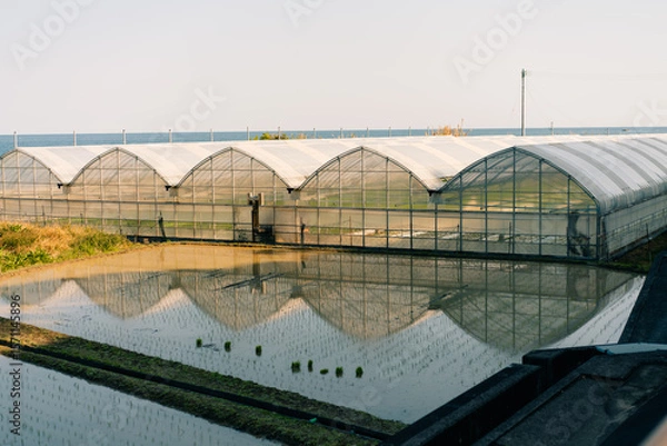 Obraz Greenhouse in rice fields on Shikoku Island, Japan