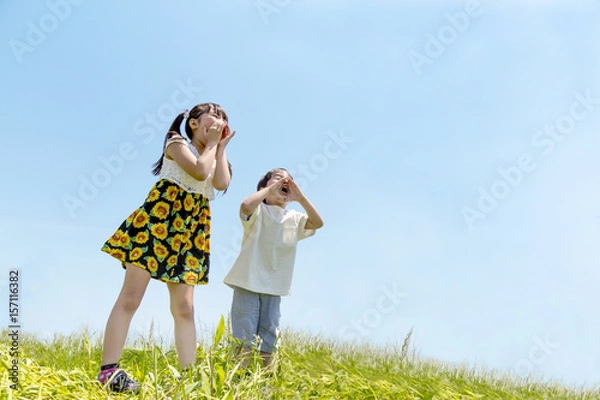 Fototapeta 土手で呼び掛ける2人の子供 