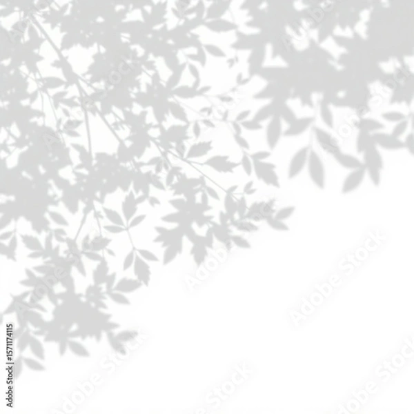 Fototapeta shadow overlay effect. Gray shadow of leaves isolated on white background. Plant foliage leaf shadow light effect. Mockup Blurred tree branch shadow. Ideal for summer spring design elements PNG