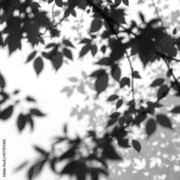Fototapeta shadow overlay effect. Gray shadow of leaves isolated on white background. Plant foliage leaf shadow light effect. Mockup Blurred tree branch shadow. Ideal for summer spring design elements PNG