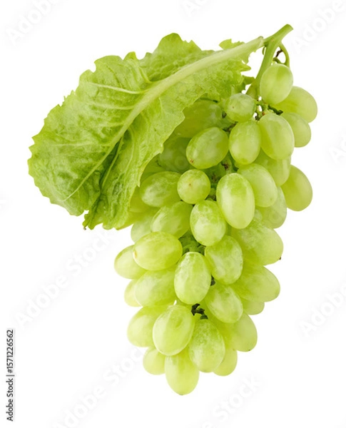 Fototapeta Fresh green grapes with leaf isolated on black background for healthy nutrition and snacks