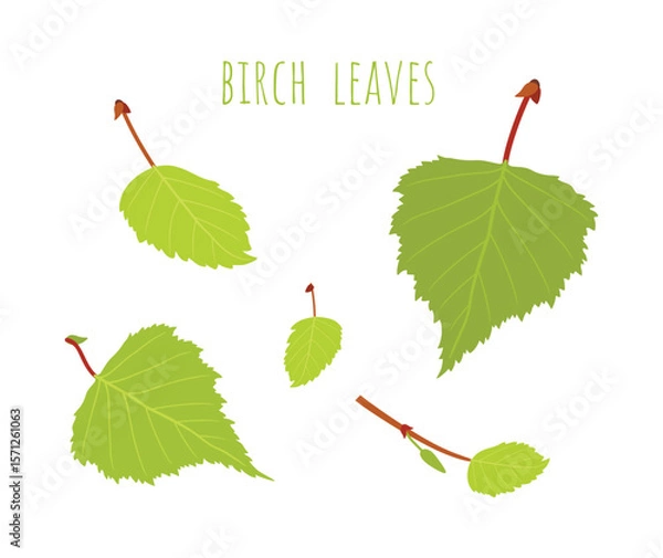 Obraz Adobe Illustrator Artwork