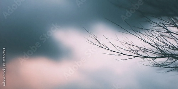 Fototapeta Blurred photography of out of focus silhouette of tree branches against dramatic sky at dusk nature serene environment