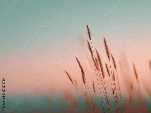 Fototapeta Soft blurred meadow field at sunset pastel photography nature environment serene viewpoint