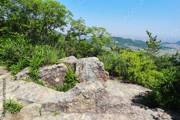 Fototapeta 山の風景