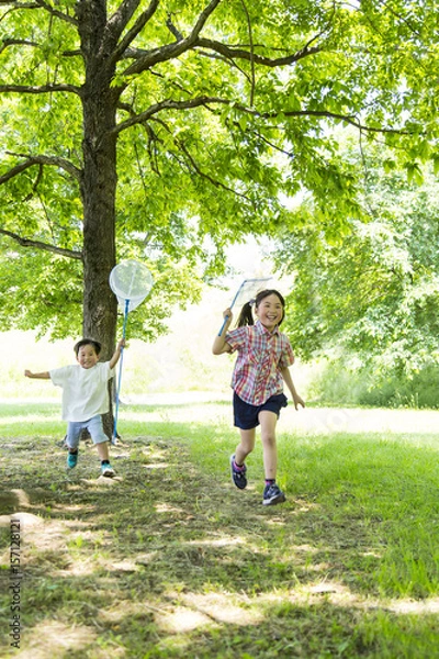 Fototapeta 虫取り網を持ち笑顔で虫を追いかける子供2人