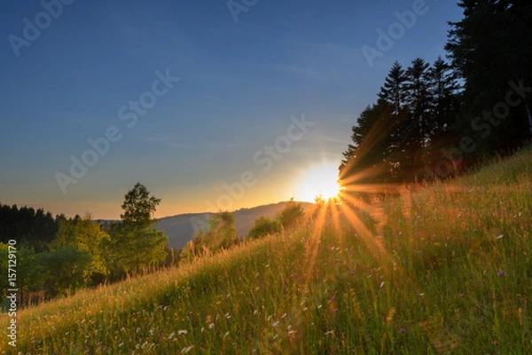 Fototapeta Schwarzwald