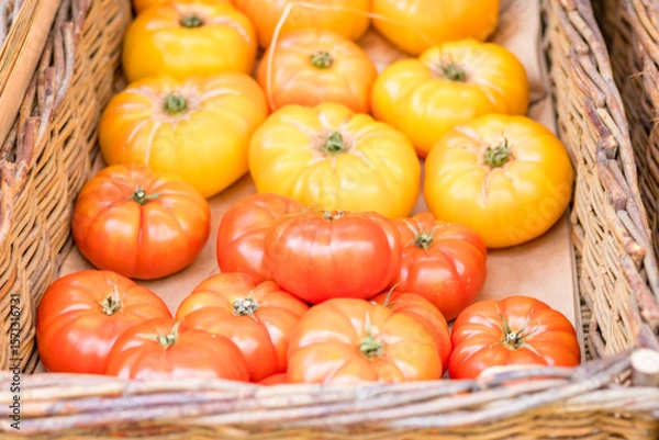 Fototapeta Fresh tomatoes on branch in wicker baskets. High quality photo