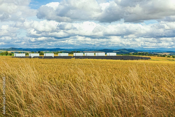 Obraz solarfield with battery storage