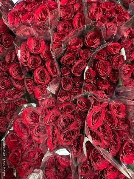 Obraz red roses background