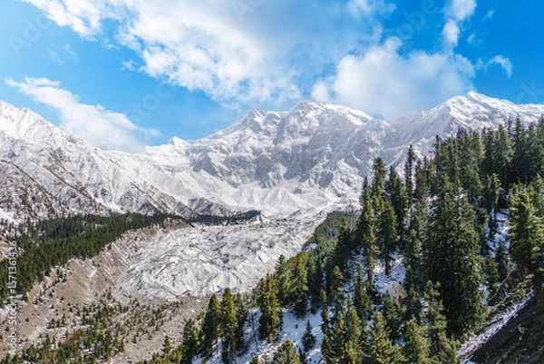 Fototapeta Spectacular view of Nanga Parbat and Raikot Glacier from Fairy Meadows, Gilgit-Baltistan, Pakistan. Snowy peaks, pine forests, and glacial textures create a dramatic mountain scene.