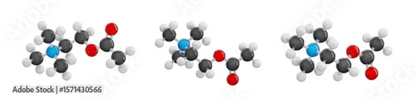 Fototapeta Acetylcholine (ACh) isolated on transparent background. Set of views showcasing a detailed 3D model of molecule. Molecular formula: C7H16NO2. Chemical model: Ball and Stick. 3D illustration