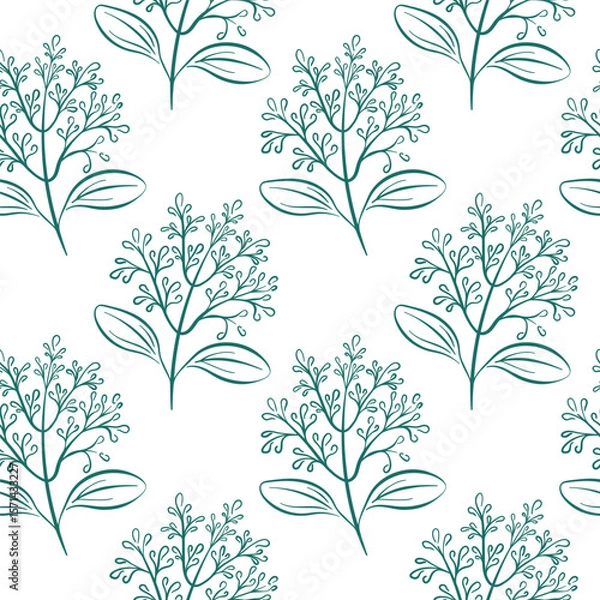 Fototapeta Seamless pattern with cinnamon flower branch drawn in line art style on white background. Perfect for botanical, herbal or spice themed packaging and design project.