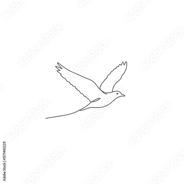 Fototapeta A bird in flight isolated on white background