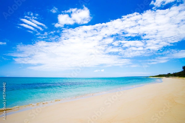 Fototapeta 宮古島 海