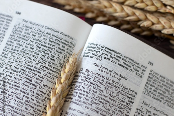 Obraz Fruit of the spirit text in open holy bible book and ripe wheat in the background. Close-up. Christian biblical concept.