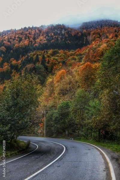 Obraz Trabzon Uzungöl