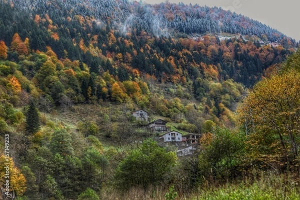 Obraz Trabzon Uzungöl