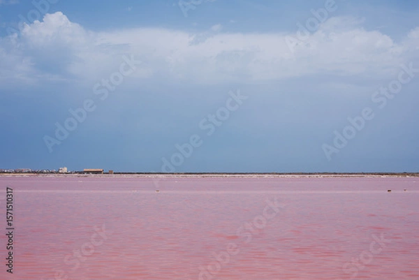 Fototapeta Marais salants du Sud de la France à l'eau rose à cause des crustacées de la Camargue dont raffolent les flamants roses. Salins où les paludiers récoltent le sel.