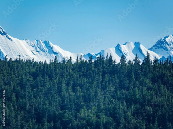 Obraz Temperate rainforest, mostly Sitka spruce (binomial name: Picea sitchensis), covers a ridge some distance from snowy mountaintops on a sunny evening along the Inside Passage in southeast Alaska