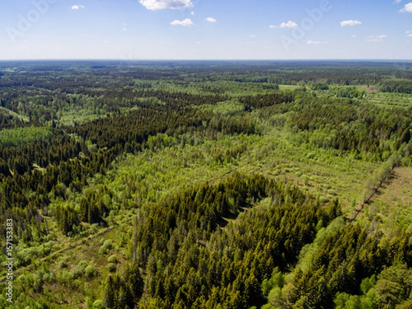 Fototapeta drone image. aerial view of rural area with forest and swamp lake