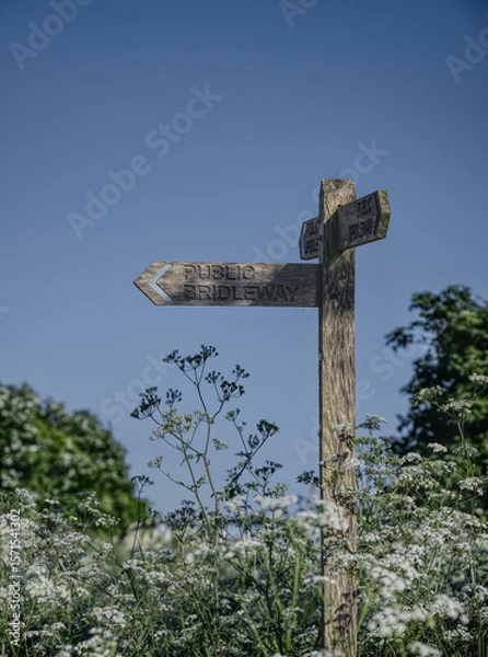 Obraz public bridleway on a summers day