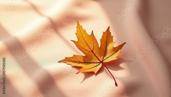 Fototapeta Warm toned leaf composition — horizontal clean background for templates and presentations.
