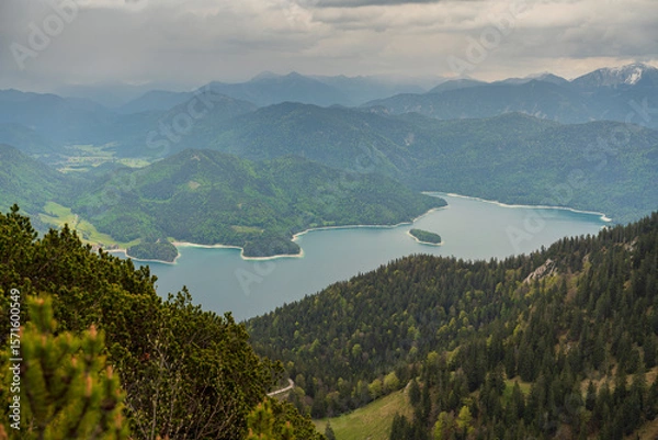 Obraz Herzogstand view to the Walchensee lake with a view though the forest trees