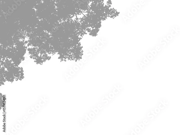 Obraz Grey Tree Silhouette, Copy Space, Natural Background, Design Element