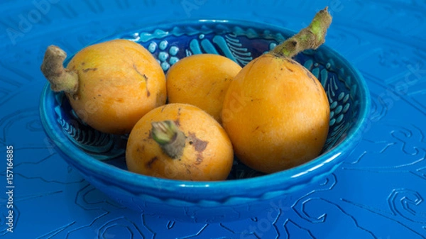 Obraz  loquat