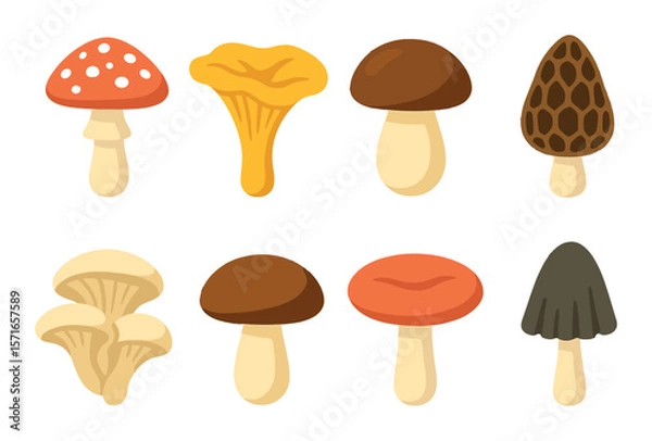 Fototapeta Mushroom set. minimalist silhouette mushrooms. fungus, toadstool, chanterelle, morel vector icons.