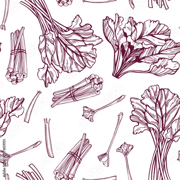 Fototapeta Hand-drawn rhubarb. Vector seamless pattern. 